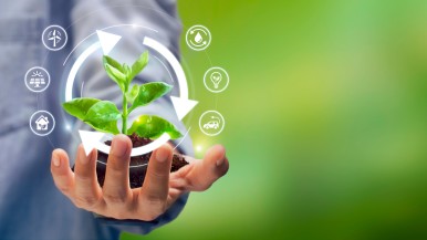 Dia do Consumo Consciente – Bosch destaca ações de economia circular 